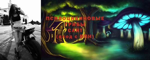 СК Снежногорск